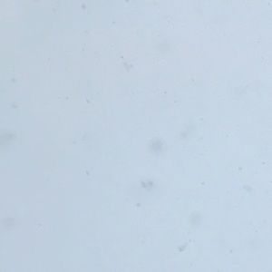 Meet your Posher, Quincy